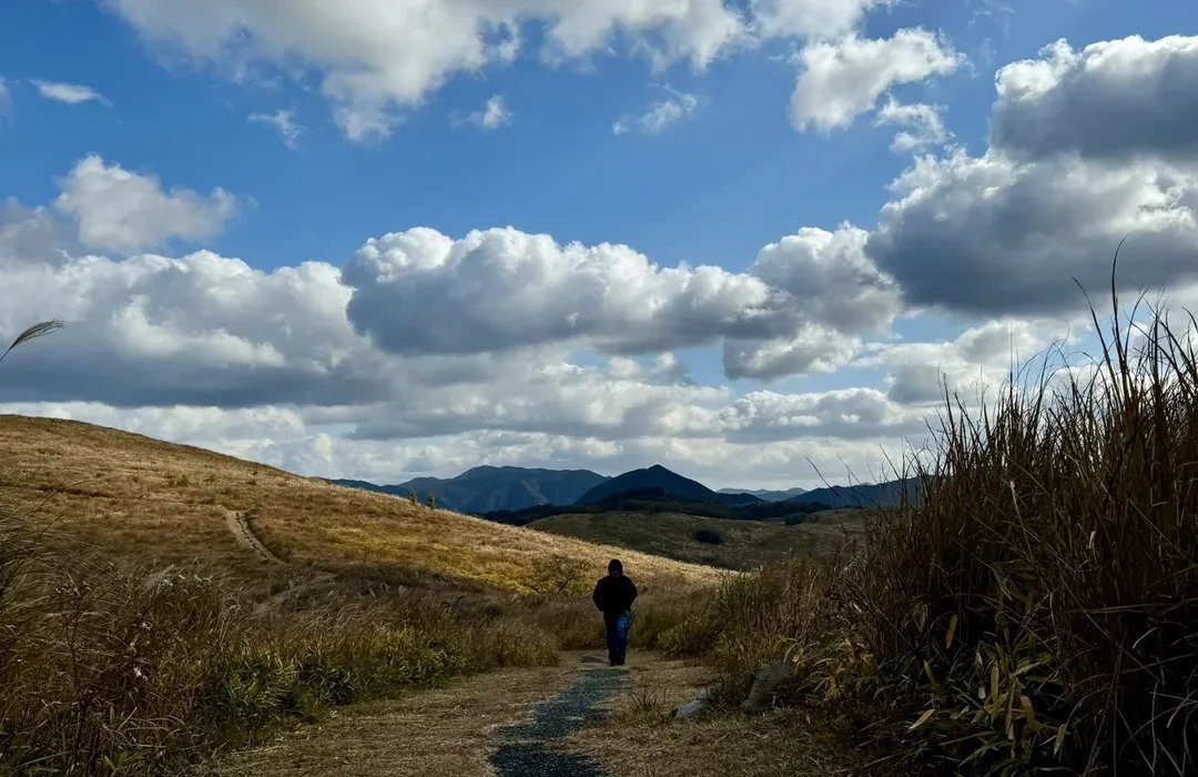 🏞️ 아키요시다이 카르스트 전망대 이미지 13
